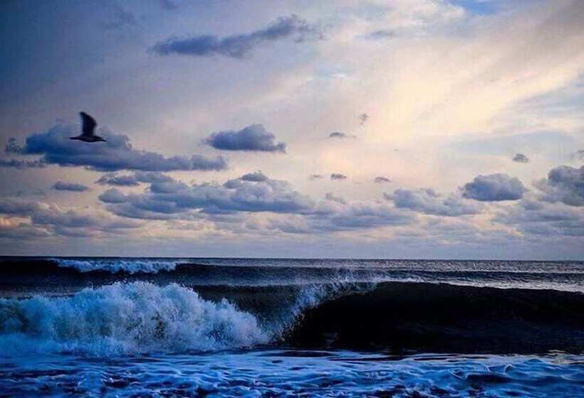 Daunts Albatross Motel