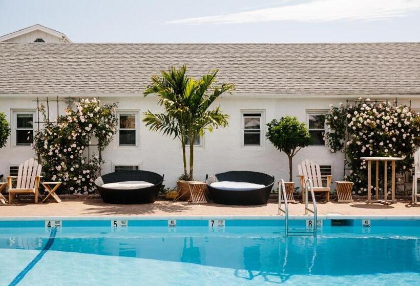 Daunts Albatross Motel