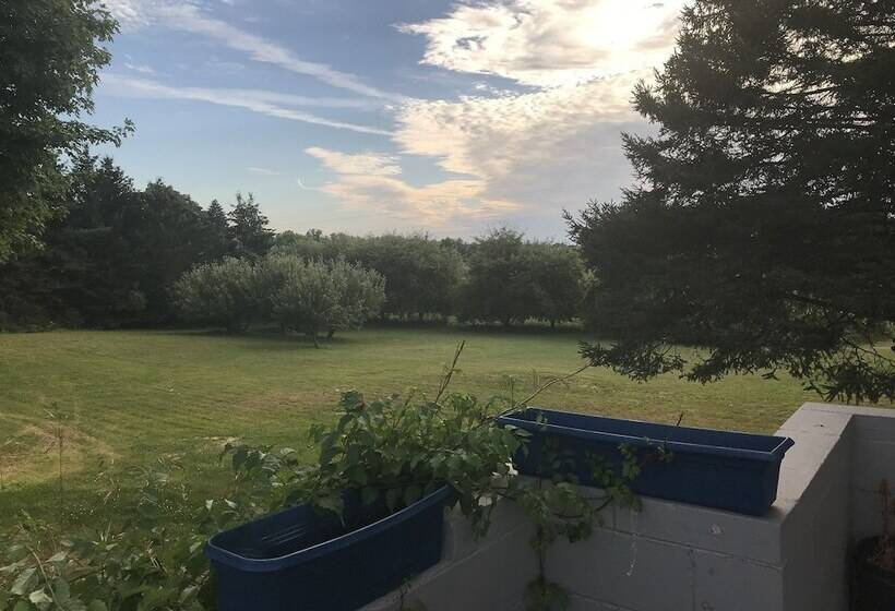 The Last Resort Motel