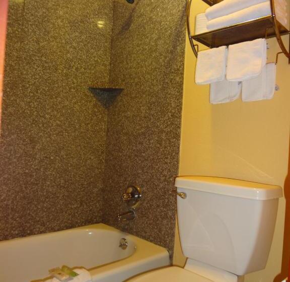 בית מלון כפרי Antlers Inn Goliad