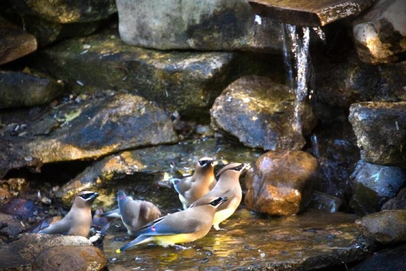 ホテル Blanco Riverside Cottages