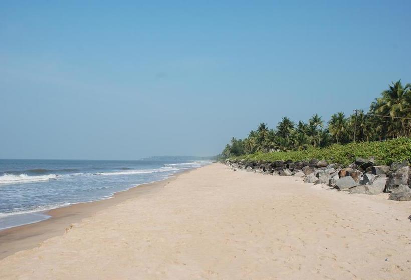 فندق Mascot Beach Resort