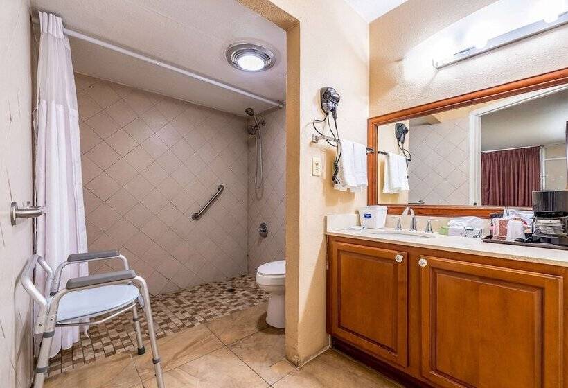 فندق Rodeway Inn