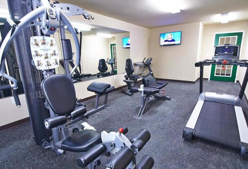 בית מלון כפרי Risewell Kitchen Suites Pleasanton