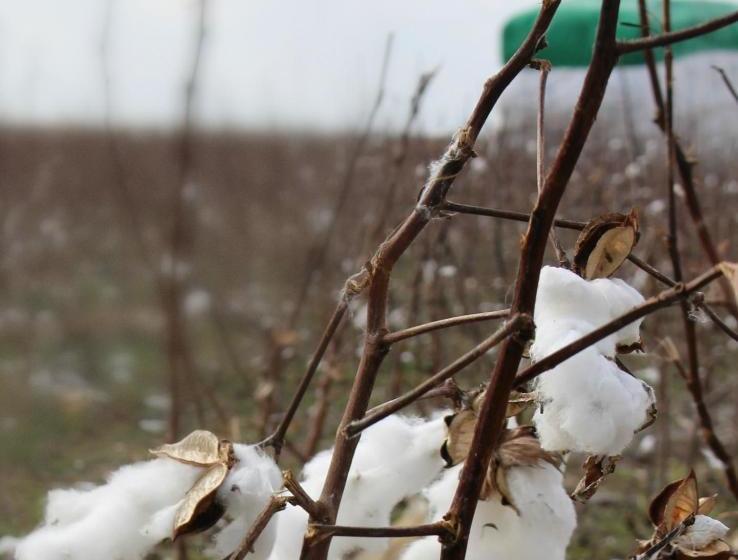 호텔 Southern Inn & Suites Lamesa