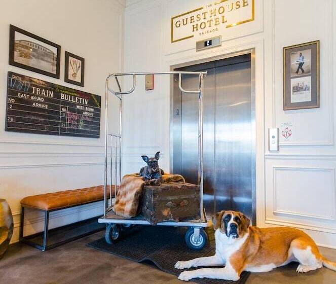 فندق The Guesthouse