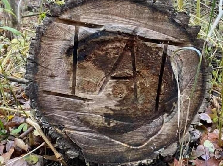 فندق Village Inn On The Lake