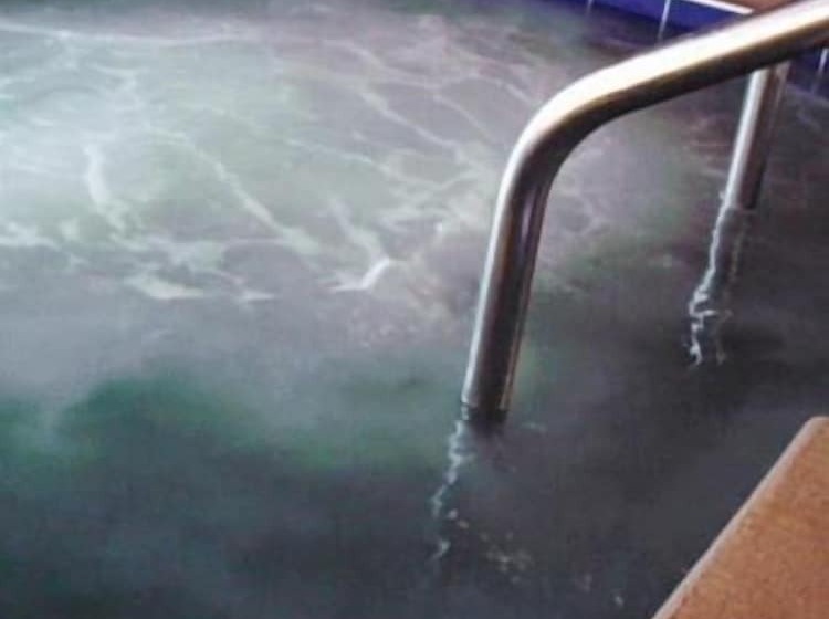 فندق Village Inn On The Lake