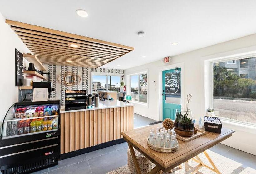 فندق على الطريق Casa Del Mar