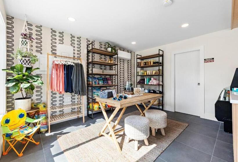 فندق على الطريق Casa Del Mar