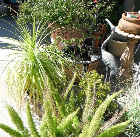 모텔 Colusa Riverside Inn