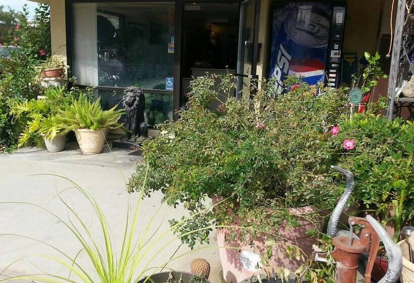 모텔 Colusa Riverside Inn