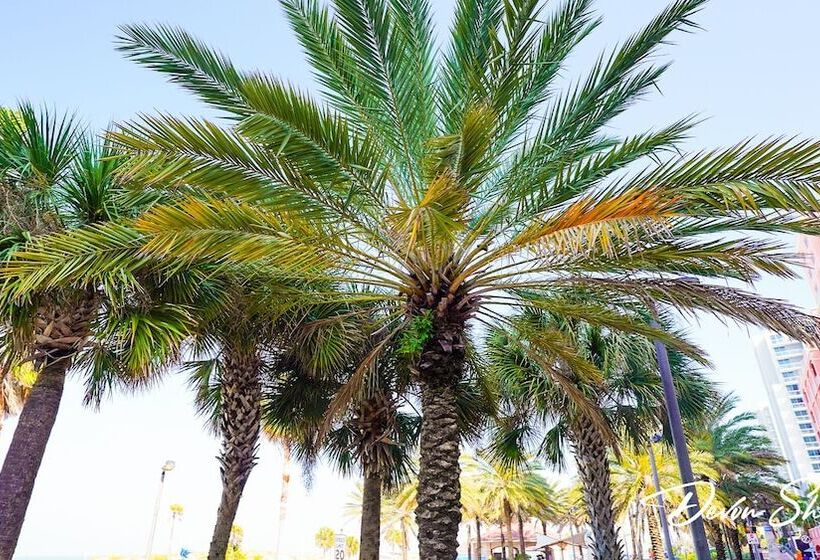 فندق على الطريق Devon Shores