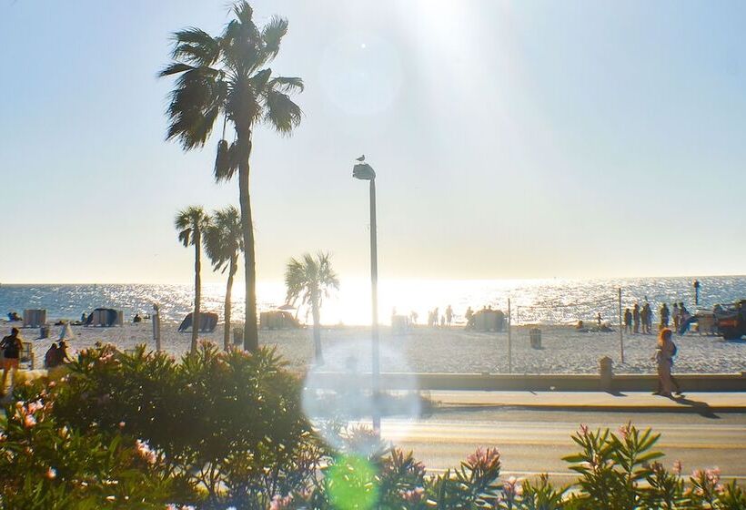 فندق على الطريق Devon Shores