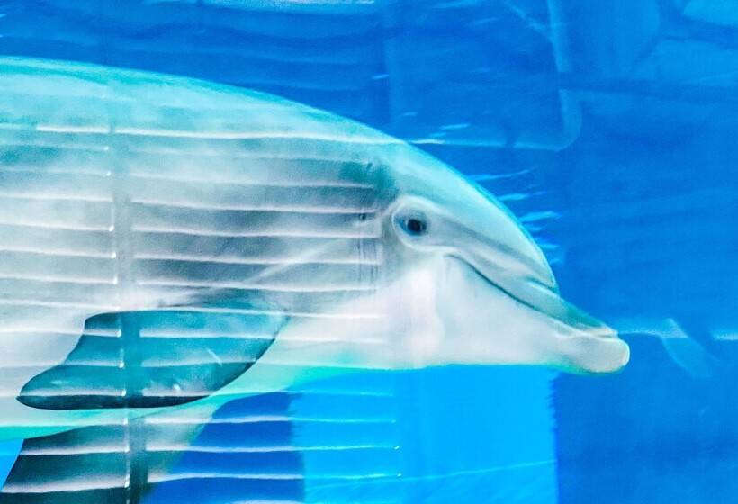 فندق على الطريق Devon Shores