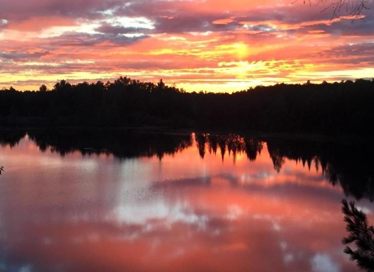 فندق على الطريق Eunica's Beaver Lodge