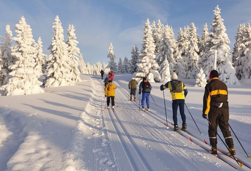 Indianhead Ironwood Motel