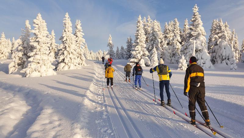 Indianhead Ironwood Motel