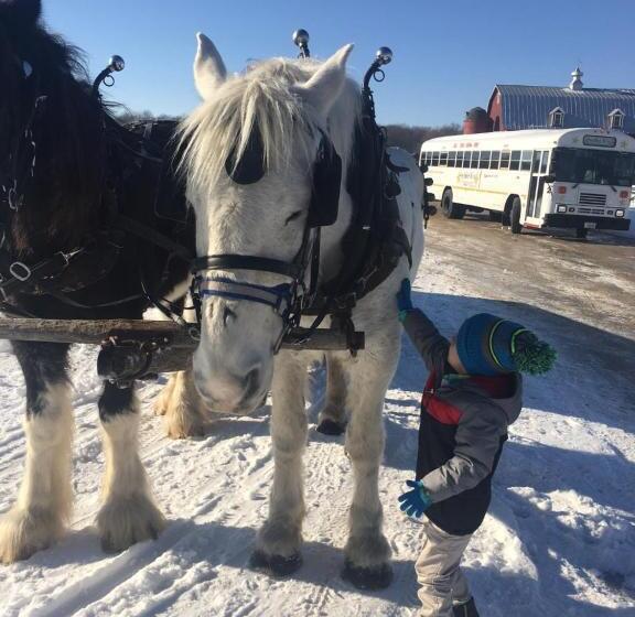 فندق على الطريق Lull Abi Inn