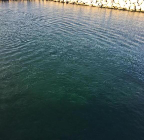 فندق على الطريق Lull Abi Inn