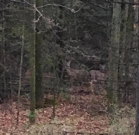 فندق على الطريق Lull Abi Inn