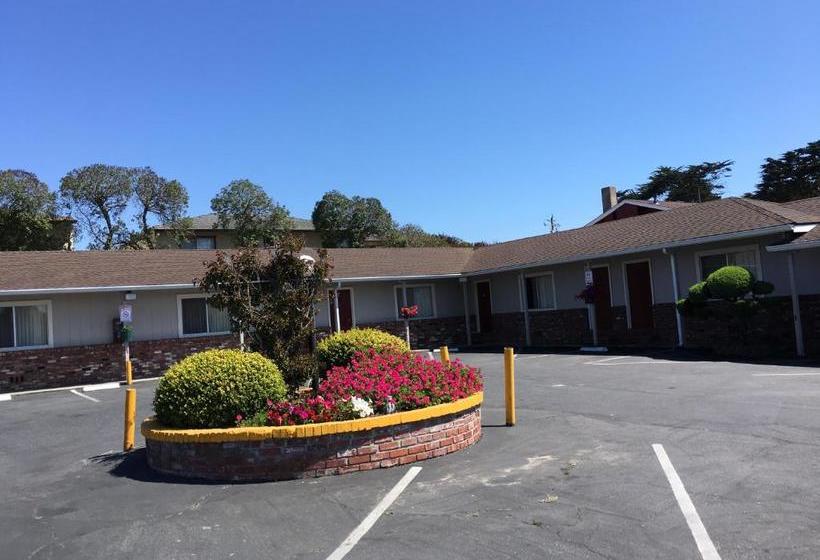 מוטל Old Marina Inn