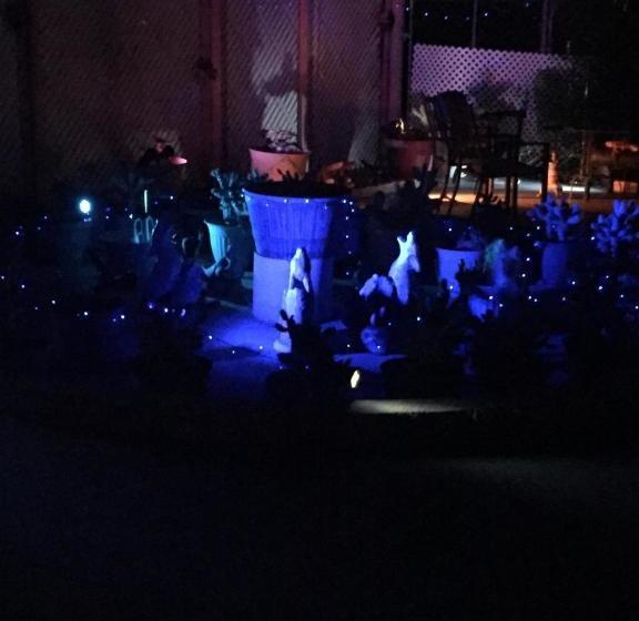 מוטל Safari Motor Inn   Joshua Tree