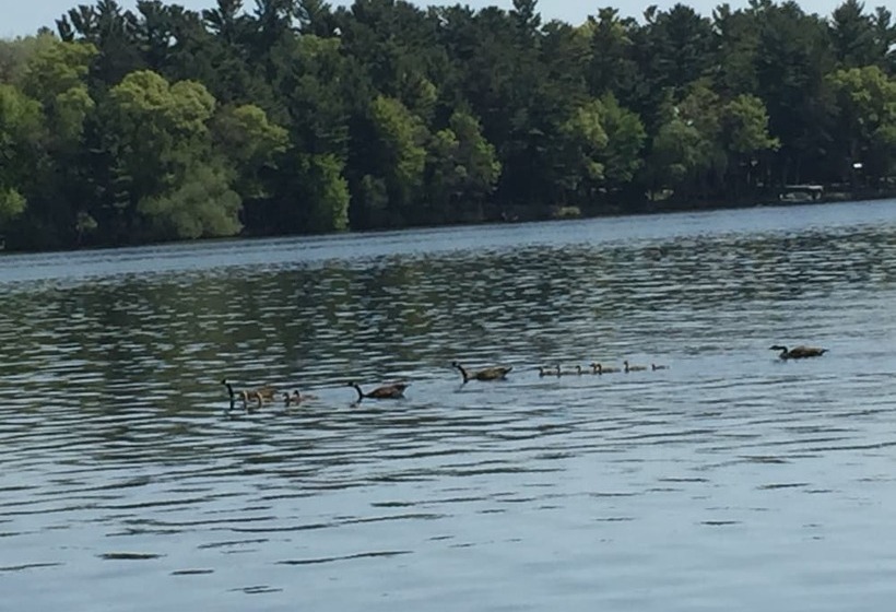 Rainbow S End Resort