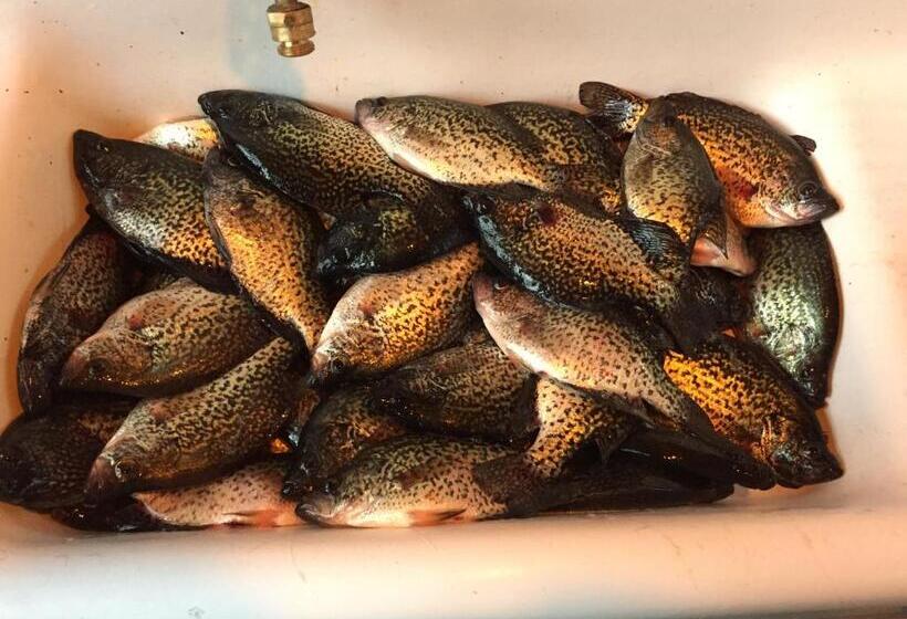 Rainbow S End Resort