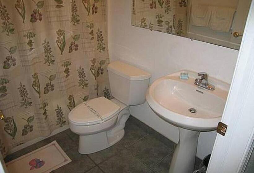 Курорт Apollo Motel