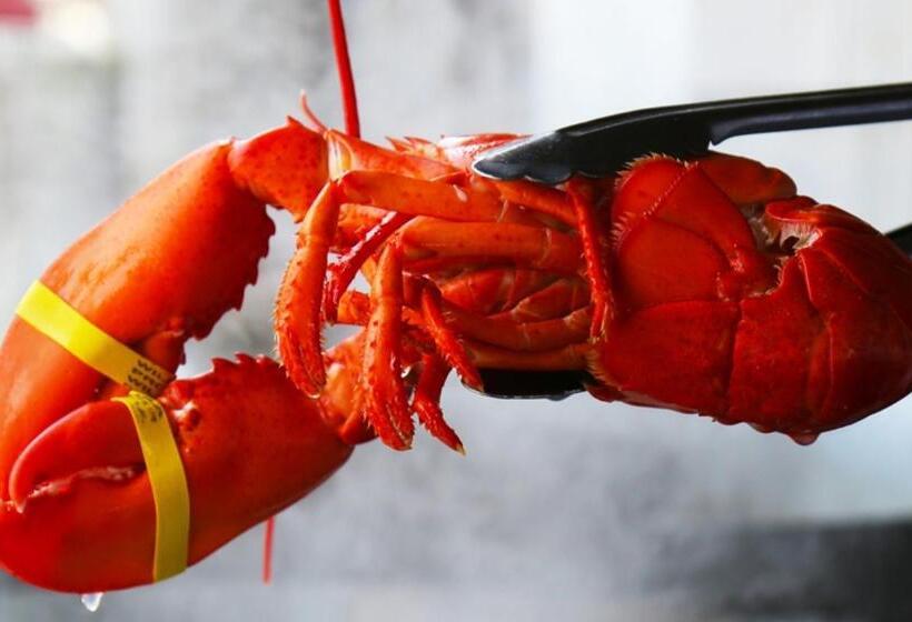 渡假胜地  Cliff House Maine