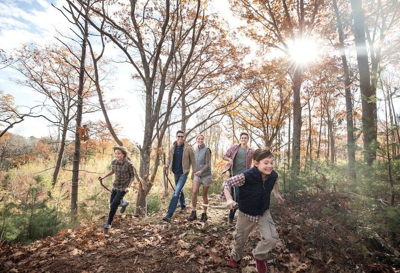 渡假胜地  Cliff House Maine