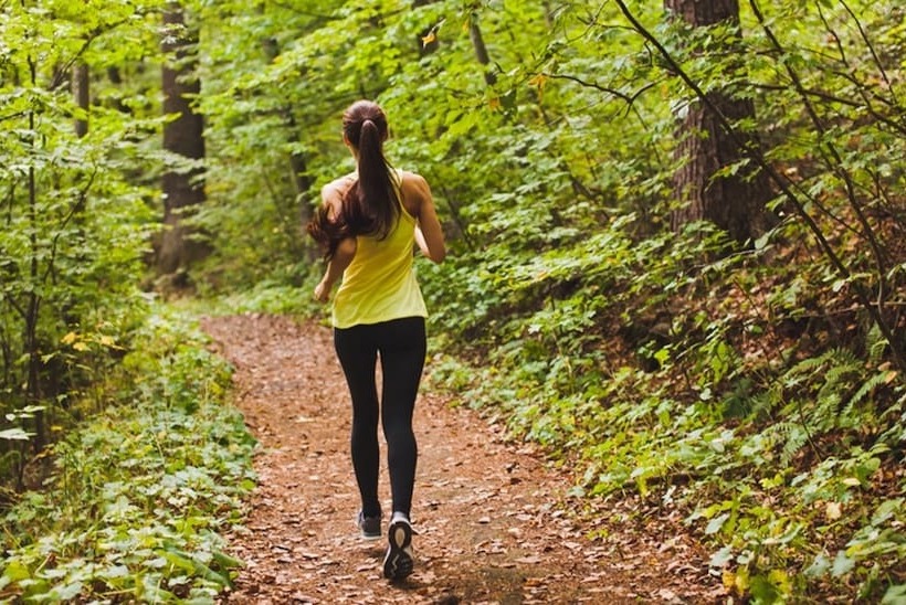 渡假胜地  Cliff House Maine