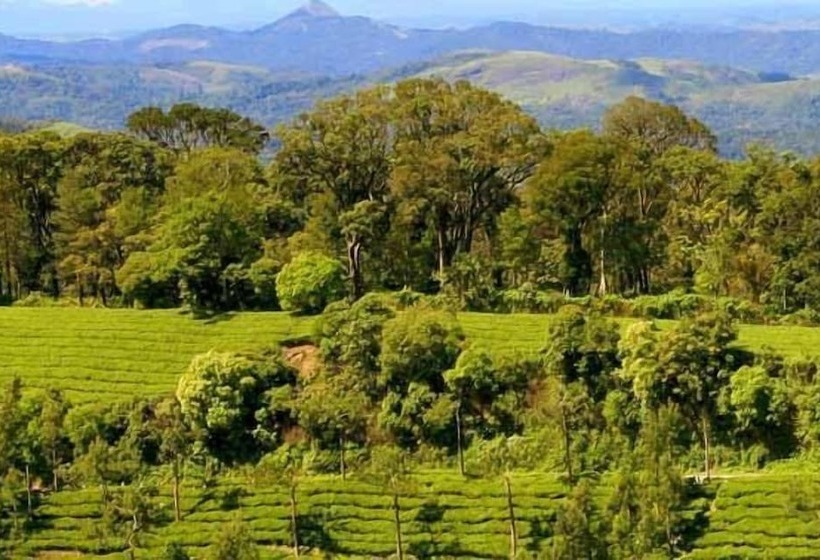 אתר נופש Mountain Trail By Dimora