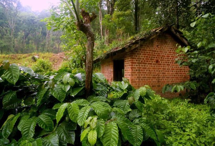 リゾートホテル Old Kent Estates & Spa, Coorg