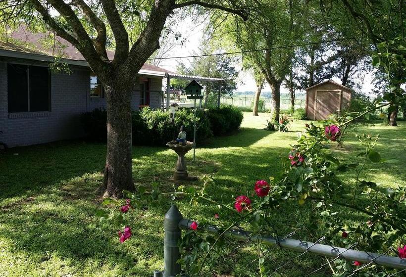 The Hoffmann Vacation Rental Bed & Breakfast