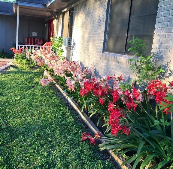 The Hoffmann Vacation Rental Bed & Breakfast