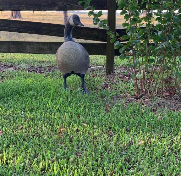 The Hoffmann Vacation Rental Bed & Breakfast