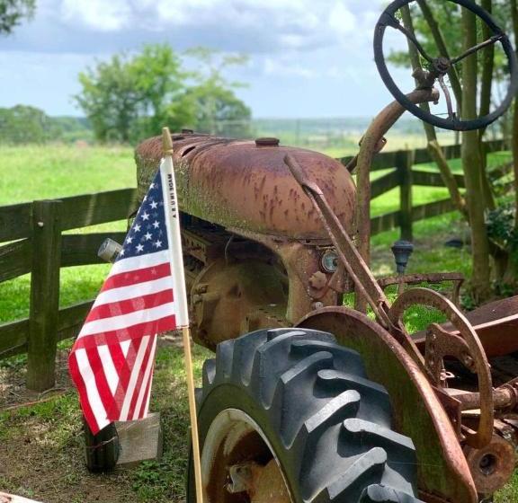 The Hoffmann Vacation Rental Bed & Breakfast