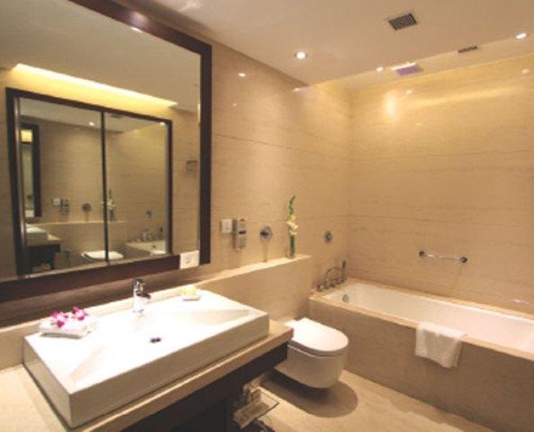 The Hotel Hindusthan International