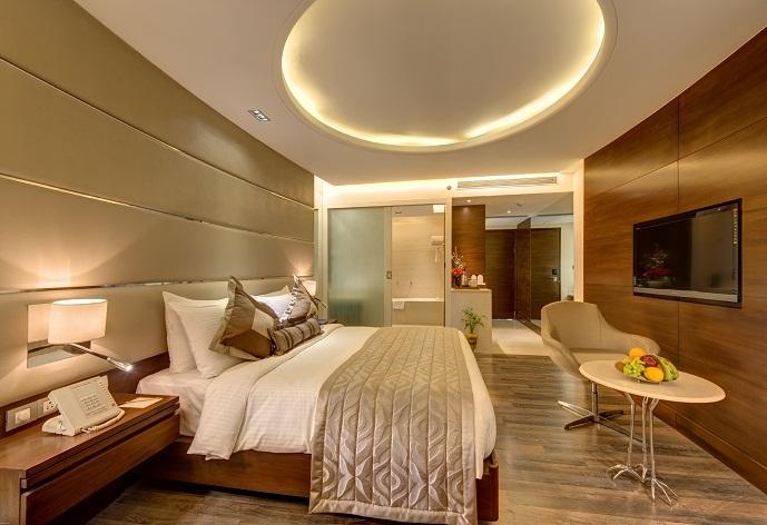 The Hotel Hindusthan International