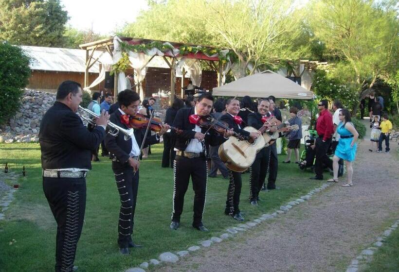 Amado Territory B&b