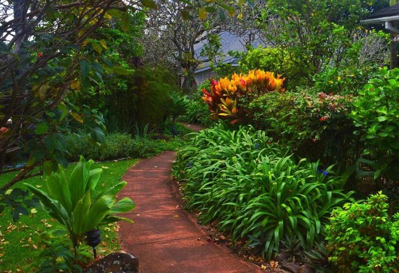 Banyan Tree B&b Retreat