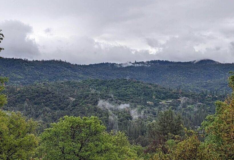 צימר A Bed Of Roses