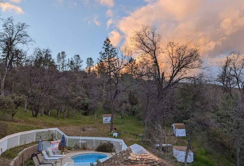 住宿加早餐  A Bed Of Roses