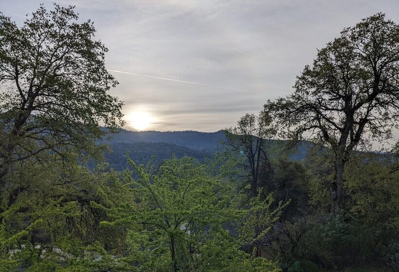 住宿加早餐  A Bed Of Roses