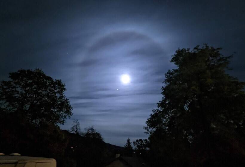 צימר A Bed Of Roses