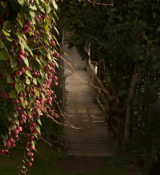 Brigitte S Bavarian B&b