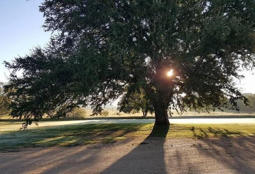 צימר Full Moon Inn