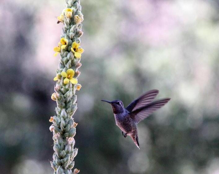 민박 Red Tail Ranch